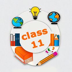 Class 11